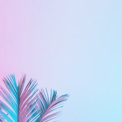Naklejka premium Tropical and palm leaves in vibrant bold gradient holographic colors. Concept art. Minimal surrealism.