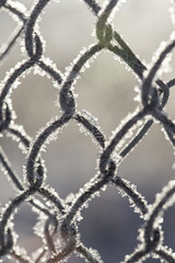 Naklejka premium Frozen fence made of metal mesh covered with frost crystals, an early sunny cold morning, on a blurred background. Close-up.