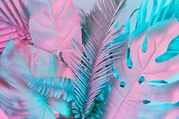 Fototapety  Pastel tropical palm leaves