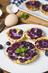 Blueberry tart, pie, tartlet with vanilla custard.