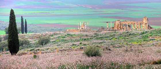Volubilis, Roman city of antiquity in Morocco