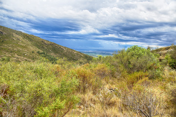 Summer landscape. Spain, Catalonia, Costa Brava