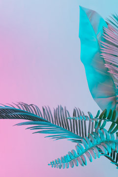 Pastel tropical palm leaves