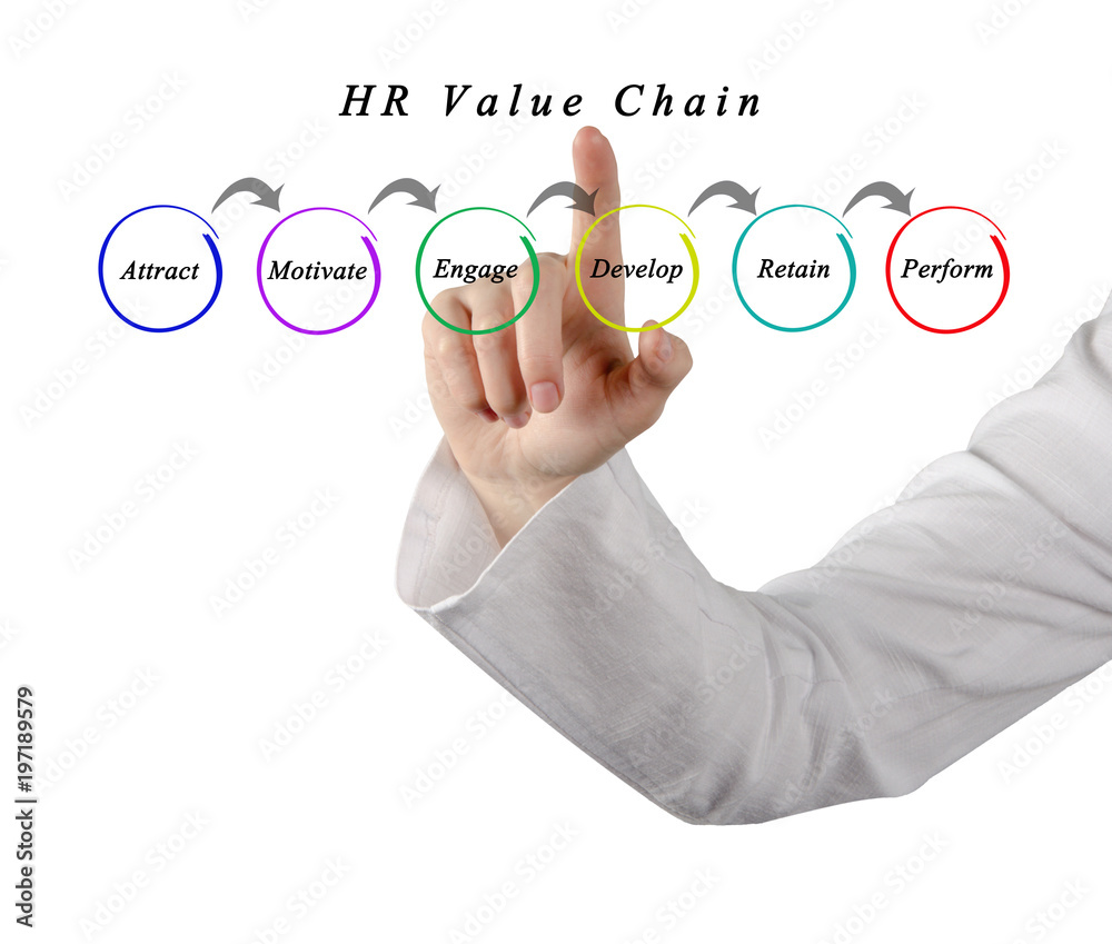 Wall mural HR Value Chain