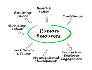 Human Resources Goals