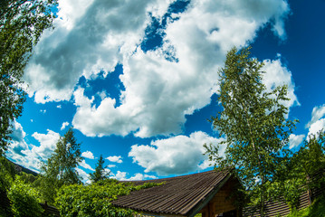 Fototapeta na wymiar Blue sky with treetop