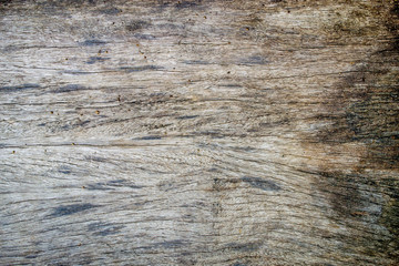 wood background with white pattern