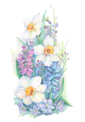 Bouquet of spring flowers. Hyacinths, narcissus and violas. Watercolor hand drawn painting illustration isolated on white background.