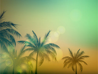 Exotic tropical palm tree background for text. Vector illustration.