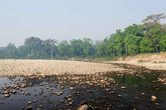 In seeking the tiger in the Bardia national park in Nepal