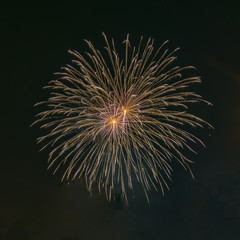 fire work.Festival concept.