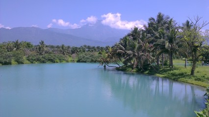 Fototapeta premium A beautiful lake and trees