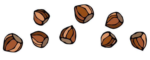 Whole Unpeeled Hazelnuts in Shell. Healthy Snack. Fresh Farm Harvest Product. Vegetarian Food. Realistic Hand Drawn Illustration. Savoyar Doodle Style.