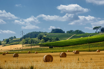 Fototapeta premium Summer landscape near Volterra, Tuscany