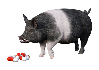 3D Rendering Pig and Pills on White