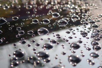 Closeup of water drops in the morning. Selective focus and crop fragment.