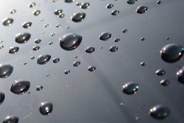 Closeup of water drops in the morning. Selective focus and crop fragment.
