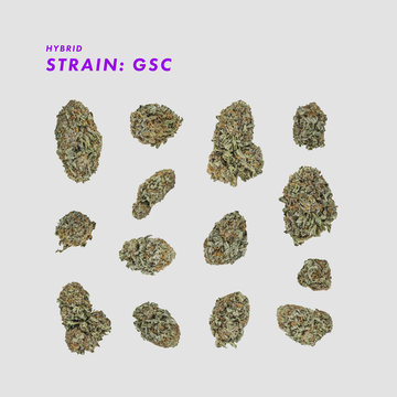 GSC Hybrid - Medical Marijuana Cannabis Buds isolated