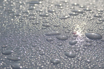 Closeup of water drops in the morning. Selective focus and crop fragment.
