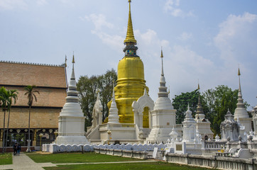 Wat Suan Dok Buddhist Temple In Chiangmai Thailand.