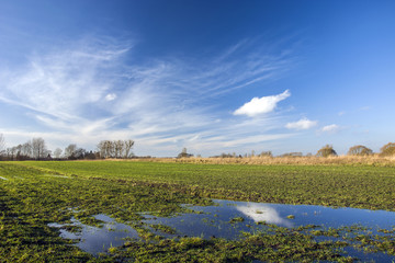 Puddle on the field
