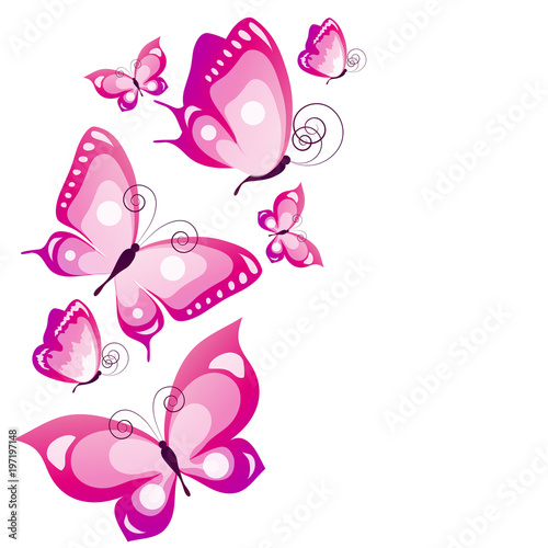 Download "beautiful pink butterflies, isolated on a white" Stock ...
