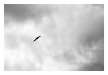 Silence