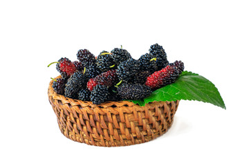 Mulberries in the bamboo basket  isolated on white background with clipping path.