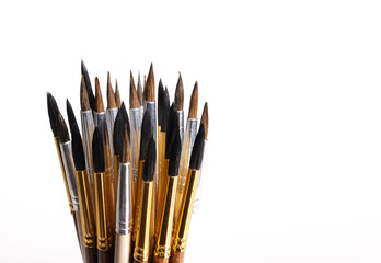 Squirrel brushes on white background.