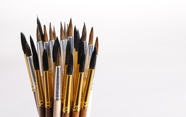 Squirrel brushes on white background.