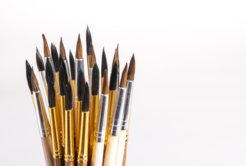 Squirrel brushes on white background.