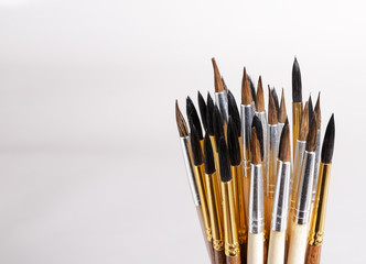 Squirrel brushes on white background.