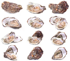 Rolgordijnen Fresh oyster collection © valeriy555
