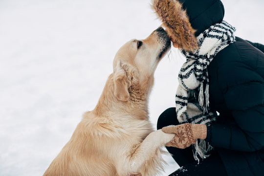 Picture of dog giving paw to woman in black jacket on winter
