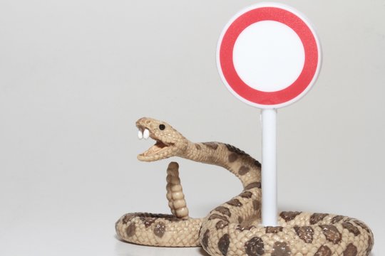 serpente a sonagli in miniatura