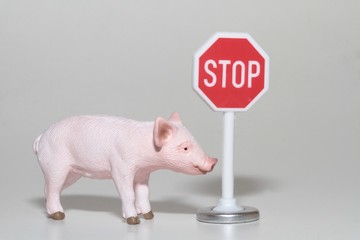 miniatura di maiale con cartello di stop