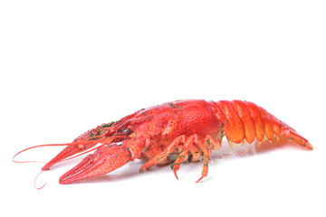 Bolied crayfish