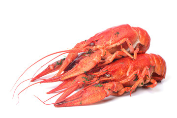 Bolied crayfish