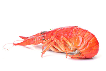 Bolied crayfish