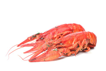 Bolied crayfish