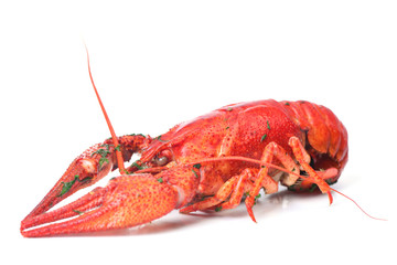 Bolied crayfish