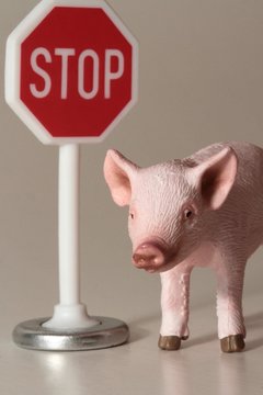 miniatura di maiale con cartello di stop