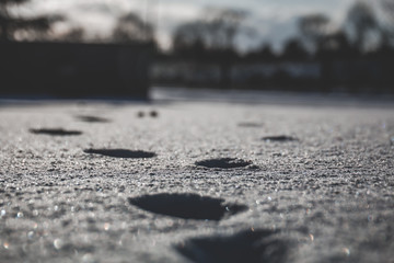 Snowy footsteps