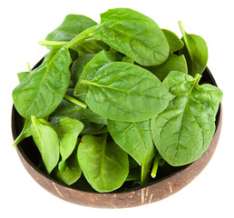 Baby spinach leaves