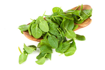 Baby spinach leaves