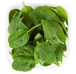 Baby spinach leaves