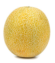 melon Isolated