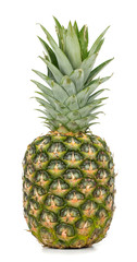  Pineapple on a white background