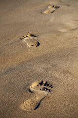 Footprints on the seashore