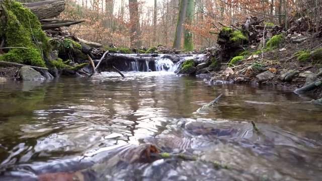 Schwenk &uuml;ber kleinen Bach im Wald